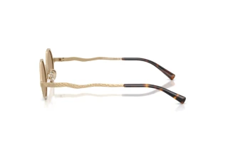 Vista laterale Emporio Armani EA2166 (30027J)