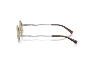 Vista laterale Emporio Armani EA2166 (3015/2)