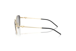 Vista laterale Emporio Armani EA2170 (30138G)