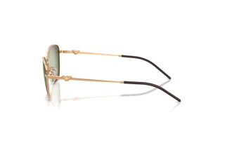 Vista laterale Emporio Armani EA2170 (342713)