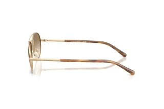 Vista laterale Emporio Armani EA2171 (300213)