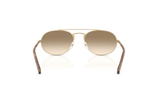 Vista posteriore Emporio Armani EA2171 (300213)