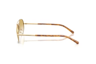 Vista laterale Emporio Armani EA2171 (30022Q)