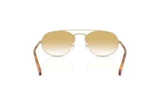 Vista posteriore Emporio Armani EA2171 (30022Q)