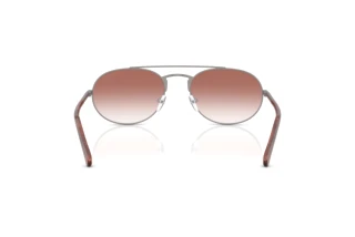 Vista posteriore Emporio Armani EA2171 (30038D)