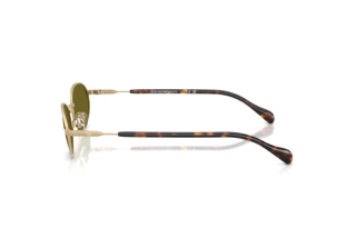 Vista laterale Emporio Armani EA2175 (3002/2)