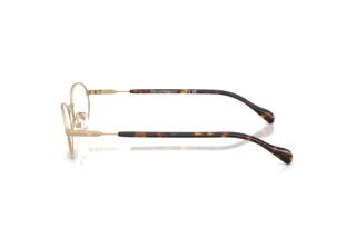 Vista laterale Emporio Armani EA2175 (30021W)