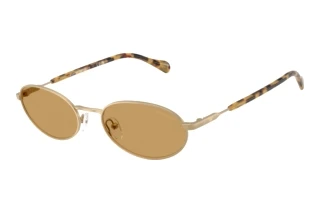 Vista frontale Emporio Armani EA2175 (300273)