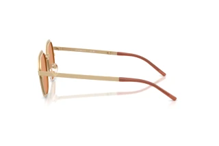 Vista laterale Emporio Armani EA2176 (3002/7)