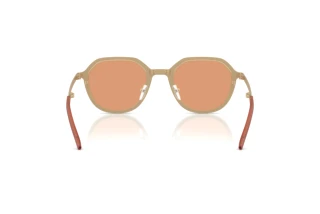 Vista posteriore Emporio Armani EA2176 (3002/7)