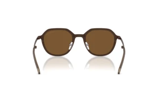 Vista posteriore Emporio Armani EA2176 (300693)