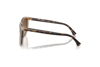 Vista laterale Emporio Armani EA4060 (5850T5)