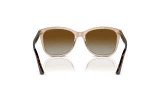 Vista posteriore Emporio Armani EA4060 (5850T5)