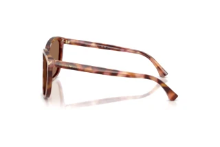 Vista laterale Emporio Armani EA4060 (619673)