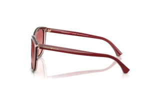 Vista laterale Emporio Armani EA4060 (6377A5)