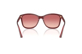 Vista posteriore Emporio Armani EA4060 (6377A5)