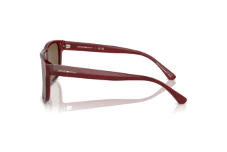 Vista laterale Emporio Armani EA4163 (507573)