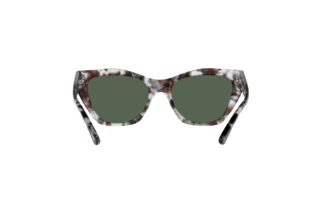 Vista posteriore Emporio Armani EA4176 (509771)