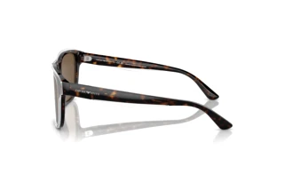 Vista laterale Emporio Armani EA4208 (605273)