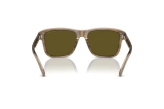 Vista posteriore Emporio Armani EA4208 (605573)