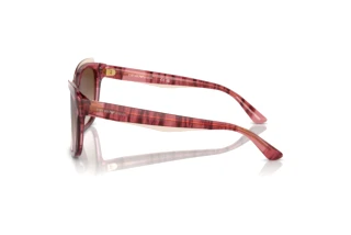 Vista laterale Emporio Armani EA4209 (605713)