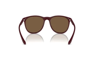 Vista posteriore Emporio Armani EA4210 (526173)