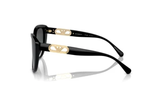 Vista laterale Emporio Armani EA4214U (50178G)