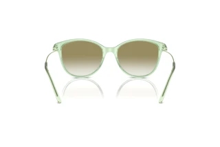 Vista posteriore Emporio Armani EA4220 (61078E)