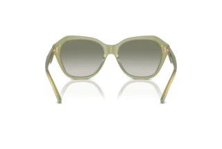 Vista posteriore Emporio Armani EA4221 (61168E)