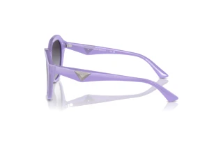 Vista laterale Emporio Armani EA4221 (61178G)