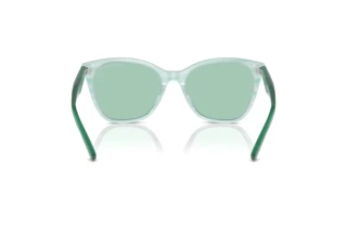 Vista posteriore Emporio Armani EA4222U (611271)