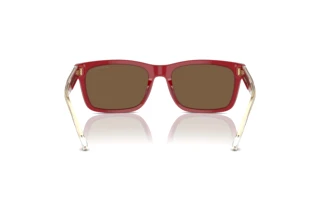 Vista posteriore Emporio Armani EA4224 (609373)