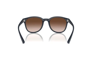 Vista posteriore Emporio Armani EA4225U (508813)