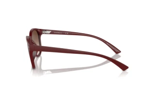 Vista laterale Emporio Armani EA4225U (610113)