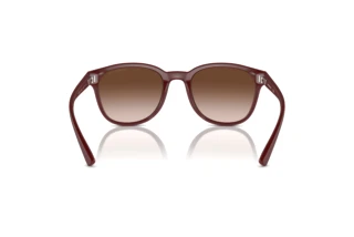 Vista posteriore Emporio Armani EA4225U (610113)
