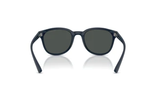 Vista posteriore Emporio Armani EA4225U (618587)