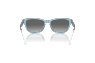 Vista posteriore Emporio Armani EA4227U (609611)