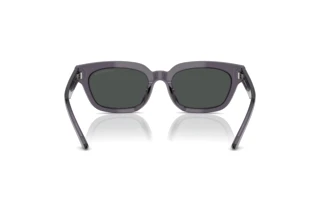 Vista posteriore Emporio Armani EA4233U (610687)