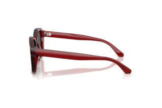 Vista laterale Emporio Armani EA4245U (624887)