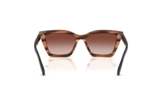 Vista posteriore Emporio Armani EA4250U (626613)