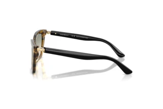 Vista laterale Emporio Armani EA4250U (62672C)
