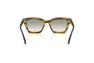 Vista posteriore Emporio Armani EA4250U (62672C)
