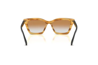 Vista posteriore Emporio Armani EA4250U (62692Q)