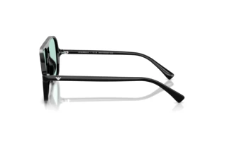 Vista laterale Emporio Armani EA4252U (501765)