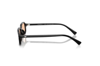 Vista laterale Emporio Armani EA4253U (501793)