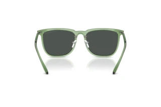 Vista posteriore Emporio Armani EA4255D (536287)