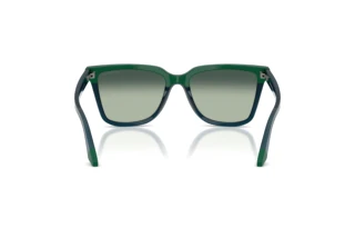 Vista posteriore Emporio Armani EA4261 (631919)