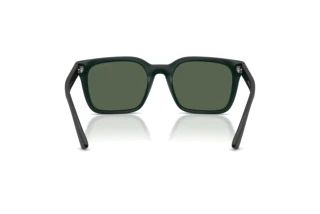 Vista posteriore Emporio Armani EA4269 (637071)