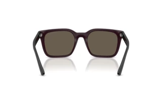 Vista posteriore Emporio Armani EA4269 (6371/3)