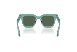 Vista posteriore Emporio Armani EA4271 (636571)